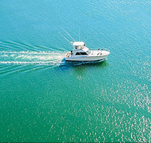 Fishing Charters  Islamorada Resort Collection